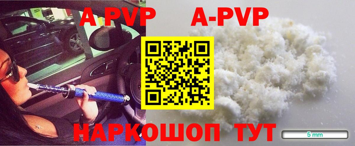 Alfa_PVP СК КРИС Малгобек