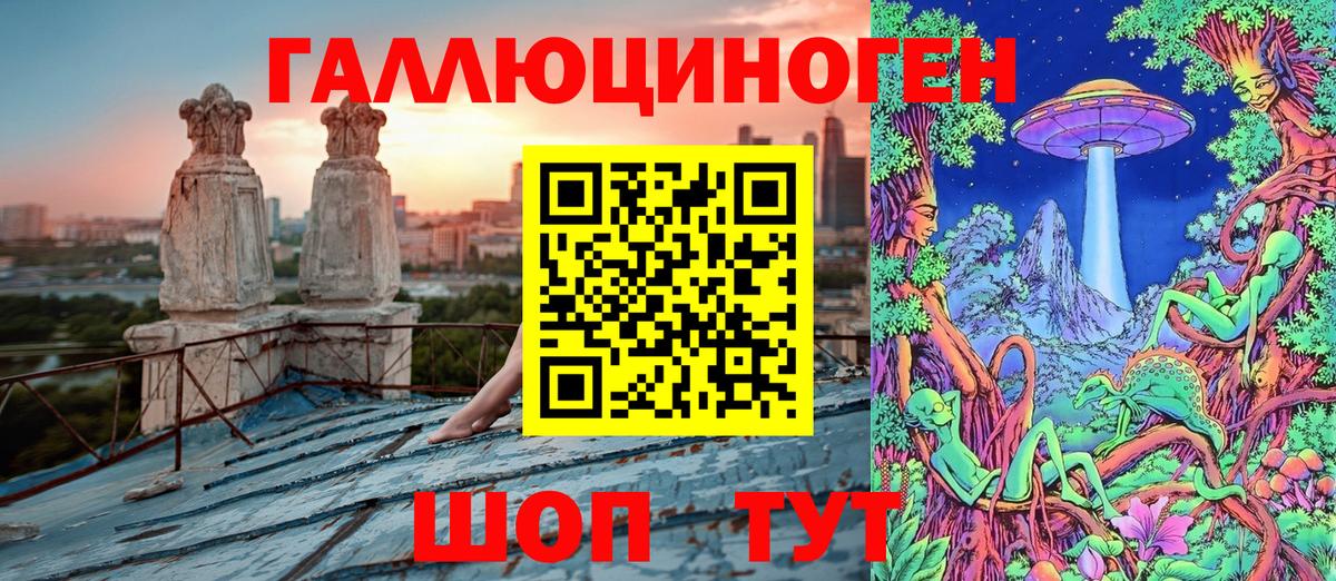 Галлюциногенные грибы GOLDEN TEACHER  Вход с VPN  Малгобек  Псилоцибиновые грибы GOLDEN TEACHER 